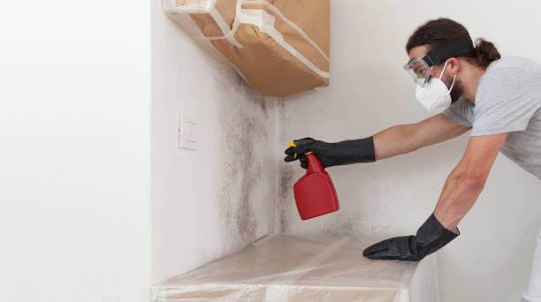 Professional Mold Remediation technician working in Danville, VA