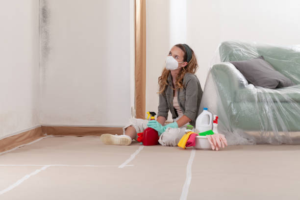 Reliable Mold Remediation contractor in Danville, VA by 24 Hour Mold Removal