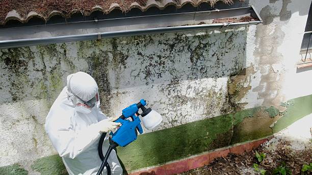Top rated local Mold Remediation specialists in Danville, VA